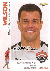 Cromo Wilson - Campeonato Brasileiro 2014 n. 267 - Panini
