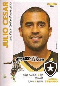 Cromo Julio Cesar - Campeonato Brasileiro 2014 n. 49 - Panini
