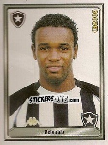 Cromo Reinaldo de Souza - Campeonato Brasileiro 2006 n. 29 - Panini