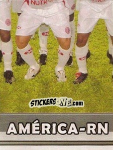 Figurina Equipe de foto (5 de 6) - Campeonato Brasileiro 2006 n. 346 - Panini