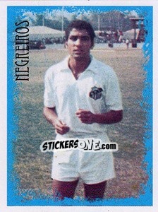 Sticker Negreiros - Santos 100 Anos n. 137 - Panini
