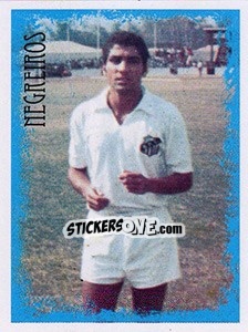 Sticker Negreiros - Santos 100 Anos - Panini