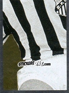 Sticker Clodoaldo - Santos 100 Anos n. 141 - Panini