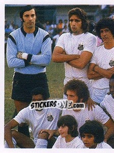 Sticker Time de 1973 - Santos 100 Anos - Panini