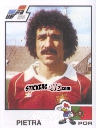 Figurina Pietra - UEFA Euro France 1984 n. 165 - Panini