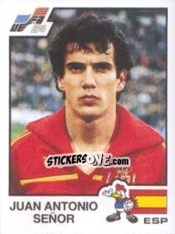 Cromo Juan Antonio Senor - UEFA Euro France 1984 - Panini