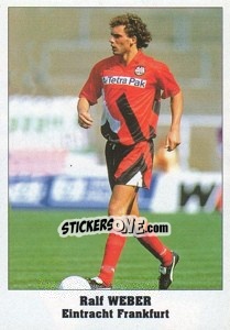 Sticker Ralf Weber - Italy Eurocups Stars Parade 1994-1995 - Sl