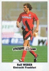 Sticker Ralf Weber - Italy Eurocups Stars Parade 1994-1995 n. 140 - Sl