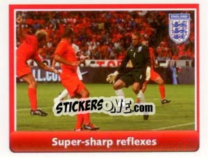 Figurina Pro Skill - England 2010 n. 51 - Topps