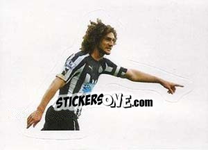 Cromo Fabricio Coloccini (Newcastle United) - Premier League Inglese 2014-2015 - Topps