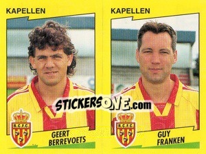 Cromo G.Berrevoets / G.Franken  - Football Belgium 1997-1998 - Panini