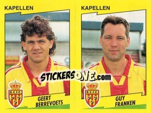 Cromo G.Berrevoets / G.Franken  - Football Belgium 1997-1998 n. 427 - Panini