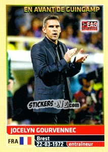 Sticker Jocelyn Gourvennec - FOOT 2014-2015 n. 100 - Panini