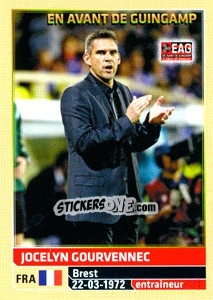 Cromo Jocelyn Gourvennec - FOOT 2014-2015 - Panini