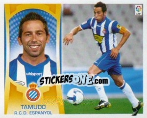 Cromo Tamudo (#14A) - Liga Spagnola  2009-2010 - Colecciones ESTE