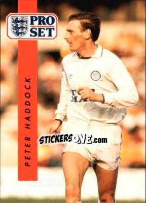 Sticker Peter Haddock - English Football 1990-1991 n. 91 - Pro Set