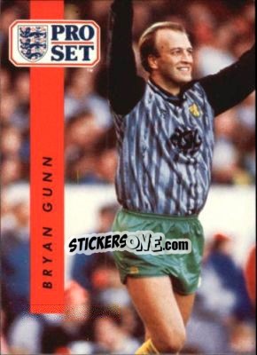 Cromo Bryan Gunn - English Football 1990-1991 - Pro Set