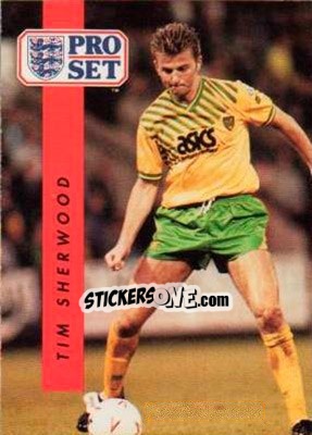 Sticker Tim Sherwood - English Football 1990-1991 - Pro Set