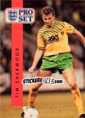 Sticker Tim Sherwood - English Football 1990-1991 n. 161 - Pro Set