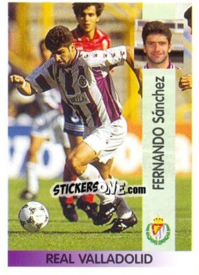 Cromo Fernando Sánchez Cipitria - Liga Spagnola 1996-1997 - Panini
