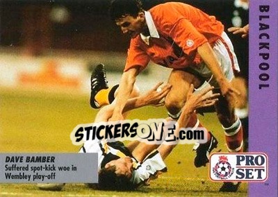 Sticker Dave Bamber - English Football Fixture 1991-1992 n. 73 - Pro Set