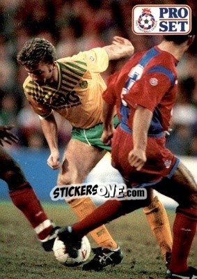 Sticker Tim Sherwood - English Football 1991-1992 - Pro Set