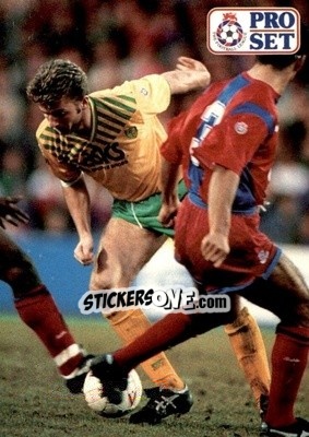 Sticker Tim Sherwood - English Football 1991-1992 n. 71 - Pro Set