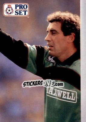 Sticker Peter Shilton - English Football 1991-1992 n. 160 - Pro Set