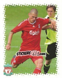 Cromo Martin Skrtel - Liverpool FC 2009-2010 - Panini