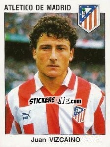 Sticker Juan Vizcaino - Liga Spagnola 1993-1994 - Panini