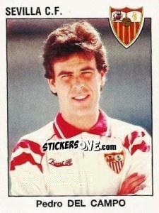 Figurina Pedro Del Campo - Liga Spagnola 1993-1994 - Panini