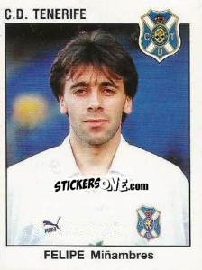 Figurina Felipe Miñambres - Liga Spagnola 1993-1994 - Panini