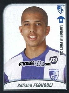 Figurina Feghouli - FOOT 2009-2010 n. 96 - Panini