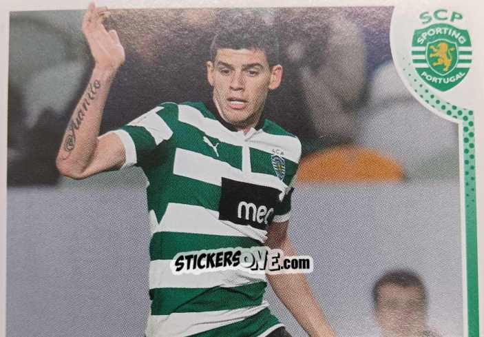 Sticker Joãozinho 2012-2013 - Sporting Lisbon 2012-2013 n. 77 - Panini