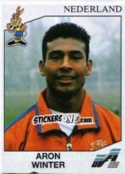 Sticker Aron Winter - UEFA Euro Sweden 1992 n. 127 - Panini