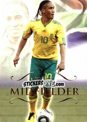 Sticker Steven Pienaar - World Football UNIQUE 2011 n. 102 - Futera