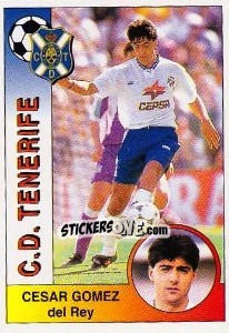 Sticker César Gómez Del Rey - Liga Spagnola 1994-1995 n. 294 - Panini