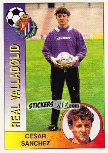 Sticker César Sánchez Domínguez - Liga Spagnola 1994-1995 - Panini
