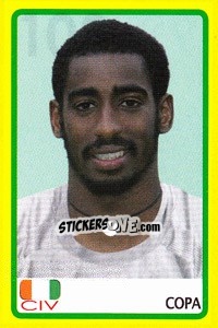 Cromo Copa - Africa Cup 2008 - Panini