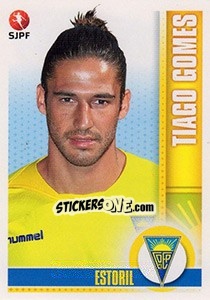 Sticker Tiago Gomes - Futebol 2013-2014 - Panini