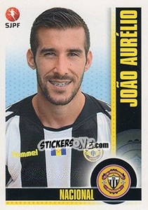 Sticker João Aurélio - Futebol 2013-2014 n. 174 - Panini