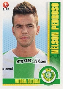 Sticker Nélson Pedroso - Futebol 2013-2014 - Panini