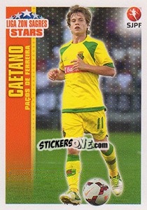 Cromo Caetano (P.Ferreira) - Futebol 2013-2014 - Panini