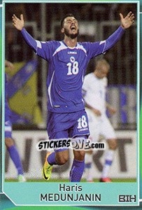 Sticker Haris Medunjanin