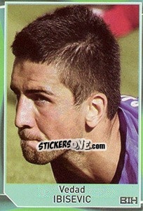 Sticker Vedad Ibisevic - Evropsko fudbalsko prvenstvo 2016 n. 88 - G.T.P.R School Shop
