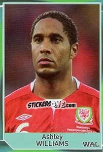 Sticker Ashley Williams - Evropsko fudbalsko prvenstvo 2016 n. 110 - G.T.P.R School Shop