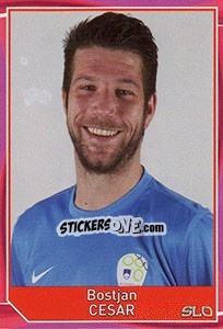 Sticker Bostjan Cesar - Evropsko fudbalsko prvenstvo 2016 n. 324 - G.T.P.R School Shop