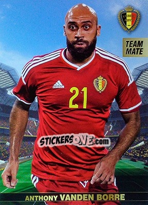 Sticker Anthony Vanden Borre - #Tousensemble Road to France 2016 n. 13 - Panini