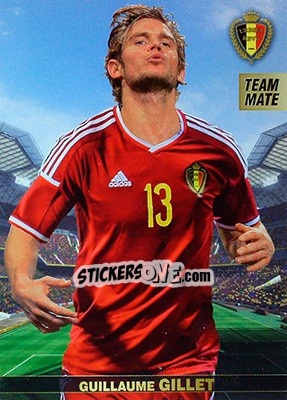 Sticker Guillaume Gillet - #Tousensemble Road to France 2016 n. 20 - Panini