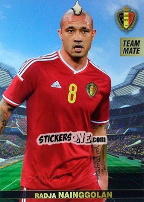 Sticker Radja Nainggolan - #Tousensemble Road to France 2016 n. 24 - Panini